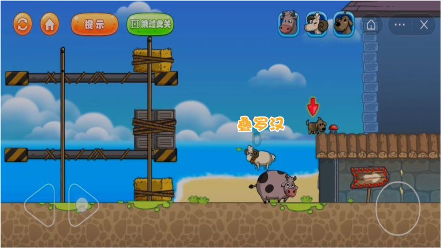 1月29日至2月4日，本周五大星座情感创造力双双爆发